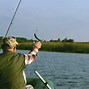 Image result for Fishing Swivel in Action