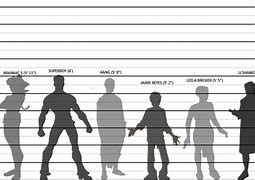 Image result for Human Height Comparison Chart