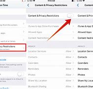 Image result for Restrictions On iPhone