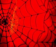 Image result for Spider-Man Chest Wallpaper for Laptop
