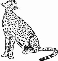 Image result for Cheetah App