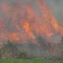 Image result for What Is a Prescribed Burn