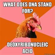 Image result for DNA Meme