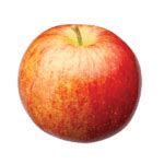 Image result for Michigan Apples Varieties