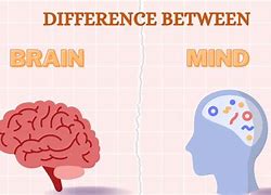Image result for Mind Vs. Brain Philosophy