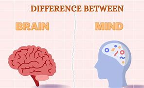 Image result for Mind Vs. Brain