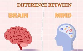 Image result for Difference Between Brain and Mind