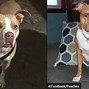 Image result for Ohio Woman Mauled by Pit Bulls
