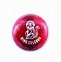 Image result for Leather Ball Cricket