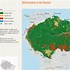 Image result for amazon forest maps