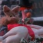 Image result for Muppets Potluck