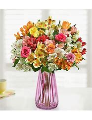 Image result for Napa Valley Flowers