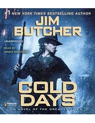 Image result for Book Cold Day
