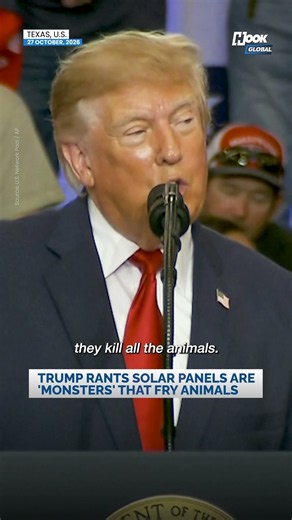 Trump Delivers Bizarre Rant on Solar Panels: 'Big Monsters That Fry Animals'