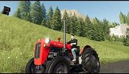 FS19 | IMT 539 Deluxe (Tyrolean Alps Map)