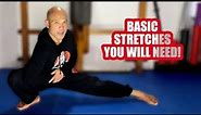Basic Martial art stretches you will need
