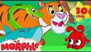 Morphle and the Scary Animal Bandits - Snake, Tiger, Shark, Lion and Dinosaur Videos for kids