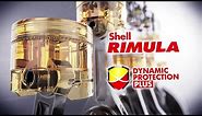 Shell Rimula - Dynamic Protection Plus technology explained