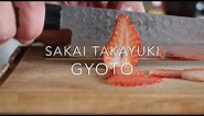 Sakai Takayuki Hammered 45 Layers Damascus Gyuto Chef Knife