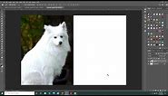 How to make wallet size prints in Photoshop