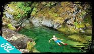 Opal Creek and Three Pools - Oregon Swimming Hole Cliff Jumps - PNW Adventures