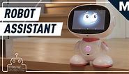 Meet Misa, the tiny personal assistant robot — Strictly Robots