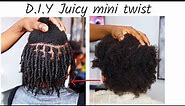 D.I.Y Juicy Mini Twist on Short/Medium 4c Natural Hair