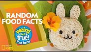 Random Food Facts | Weird But True!—Fast Facts