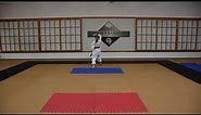 Wado Ryu Beginners Katas: First Form - Kihon Kata Ipponme