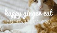 Happy Ginger Cat Appreciation Day