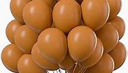 PartyWoo Caramel Brown Balloons, 100 pcs 12 Inch Boho Brown Balloons, Matte Brown Balloons for Balloon Garland Balloon Arch as Party Decorations, Birthday Decorations, Wedding Decorations, Brown-F10