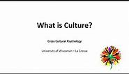 [ Cross-cultural Psychology ] What is Culture (2020-09-12)