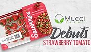Mucci Farms' Steve Zaccardi Discusses New Savorries Strawberry Tomatoes and Packaging Innovation