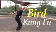 Bird Style Kung Fu
