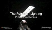 Future of Lighting