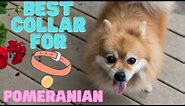 Top 10 Collars for Pomeranians | The Top 10 Collars for Your Furry Friend | Pet Knowledge Zone | dog