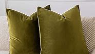 JUSPURBET Olive Green Decorative Velvet Throw Pillow Covers 20x20 Inches Set of 2,Luxury Solid Soft Pillow Covers for Sofa Couch Bed