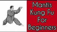 MANTIS KUNG FU FOR BEGINNERS / 7xing , seven star mantis / 螳螂拳