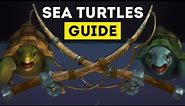 WoW Secrets: How to Find and Ride the Turtle Mounts