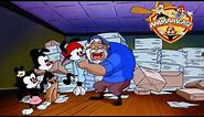 88- Animanicast: Discussing "Papers for Papa" and more from Animaniacs Episode 88