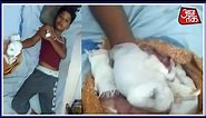 Eleven Year Old Lost His Finger In Mobile Phone Explodes In Sihora Madhya Pradesh