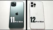 iPhone 11 Pro Max vs iPhone 12 Pro Max