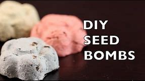 How To Make Seed Bombs | Seed Balls | Craft Idea DIY