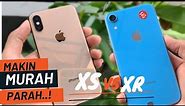 SEMAKIN MURAH !!! iphone xs dan iphone xr | iphone xs vs iphone xr .