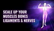 Fibromyalgia Pain Relief | Scale Up Your Muscles Bones Ligaments and Nerves | Overcome Stiffness