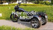 3 Wheel Electric Tricycle Citycoco Scooter e Chopper MH3P