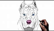 How To Draw A Pitbull | Step By Step