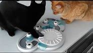 cat Puzzle feeder