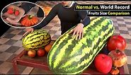 Unbelievable Fruit Size Comparison: Normal vs. World Record
