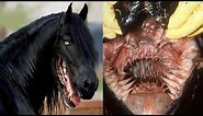 25 Deadliest Animal Mouths That Will Give You Chills!
